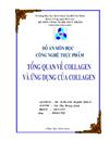 Tổng quan về Collagen và ứng dụng của Collagen