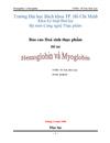 Tìm hiểu về Hemoglobin và Myoglobin