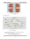 Tìm hiểu về Hemoglobin và Myoglobin