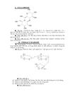 Tìm hiểu về các polysaccharide cấu trúc