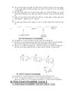 Tìm hiểu về các polysaccharide cấu trúc