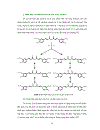 Điều chế và khảo sát hoạt tính sinh học của các dẫn xuất imine 2 Hydrazinobenzothiazolcurcumin và 2 4 Difluorophenylhydrazinocurcumin từ curcumin