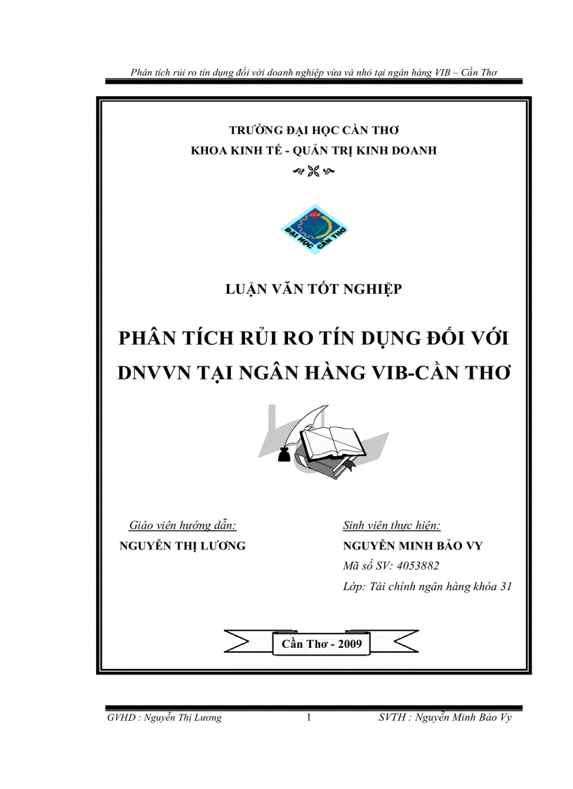 Phân tích rủi ro tín dụng đối với doanh nghiệp vừa và nhỏ tại ngân hàng VIB Cần Thơ