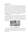 KHAI THÁC DỮ LIỆU ESTs EXPRESSED SEQUENCE TAGs Ở CHI CAM CHANH CITRUS CHO VIỆC PHÁT TRIỂN MARKER PHÂN TỬ SSR SIMPLE SEQUENCE REPEATS