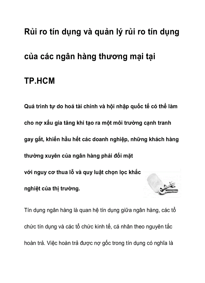 Rủi ro tín dụng và quản lý rủi ro tín dụng của các ngân hàng thương mại tại TP HCM