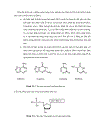 Ứng dụng kỹ thuật PCR RFLP xác định các kiểu gen thụ thể prolactin trên giống heo Yorkshire