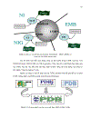 XÂY DỰNG CƠ SỞ DỮ LIỆU HAI GENE HSP 70 và REVERSE TRANSCRIPTE RNaseH Ở MỘT SỐ LOÀI VIRUS THỰC VẬT