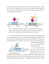 ỨNG DỤNG PHƯƠNG PHÁP IN SITU HYBRIDIZATION ĐỂ CHẨN ĐOÁN MẦM BỆNH WSSV White Spot Syndrome Virus TRÊN TÔM SÚ Penaeus monodon VÀ TSV Taura Syndrome