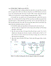 Mối tương quan giữa các chỉ số phát triển con người phát triển kinh tế và phát triển giáo dục ở Đồng Bằng Sông Cửu Long