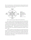 Thực trạng kiểm tra hoạt động dạy học trên lớp của hiệu trưởng trường THCS quận Ninh Kiều thành phố Cần Thơ