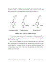 Phân lập promoter của gen mã hóa cho enzyme cinnamyl alcohol dehydrogenase cad và thiết kế vector chuyển gen mang đoạn gen mã hóa cho enzyme cinnamo