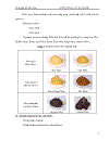 Công nghệ lên men Miso