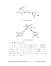 Nghiên cứu hoá học và nhận dạng một số nhóm chất có trong cây đỏ ngọn cratoxylum prunifolium kurtz
