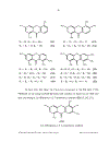 Nghiên cứu thành phần hoá học cây xuyên tâm thảo canscora lucidissima họ long đởm gentianaceae ở cao bằng