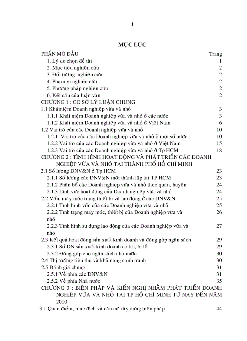 Biện pháp nhằm phát triển các DNV N tại Thành phố Hồ Chí Minh từ nay đến năm 2010