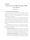 Chiến lược phát triển của Công ty Cổ phần Công nghiệp và Xuất nhập khẩu Cao su RUBICO đến năm 2015