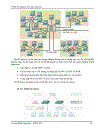 Thiết kế mạng LAN quy mô lớn