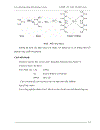 Các phương pháp định lượng protein