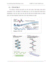 Các phương pháp định lượng protein