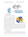 Các phương pháp định lượng protein