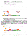 Nghiên cứu sự tổng hợp cảm ứng Pectinase ở một số chủng Bacillus