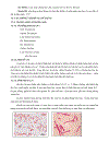 So sánh tác dụng thủy phân đậu hũ bằng phức hệ Enzyme của Bacillus subtilis sp và Bacillus natto sp để chế biến thức uống chức năng