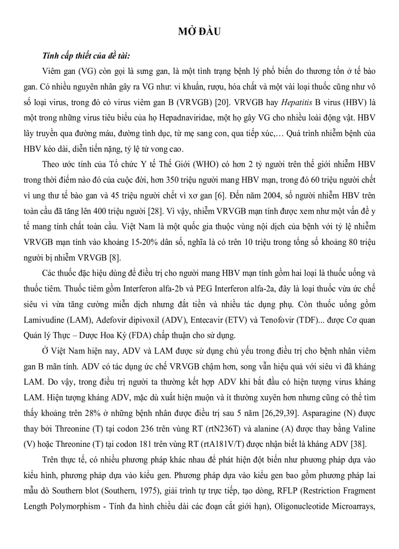 Xây dựng quy trình phát hiện đột biến rtA181V T và rtN236T kháng ADEFOVIR của virus viêm gan B Hepatitis B Virus bằng kỹ thuật REAL TIME PCR