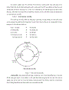 Tổ chức hoạt động tự học nhằm phát huy tính tích cực học tập của học sinh trong dạy học chương cân bằng và chuyển động của vật rắn VL10 THPT