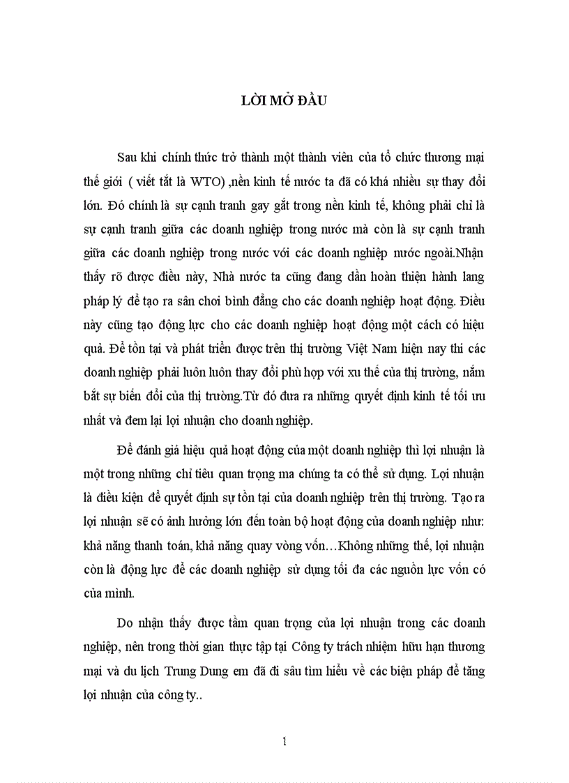 Các biện pháp tăng lợi nhuận tại Công ty TNHH thương mại và du lịch Trung Dũng