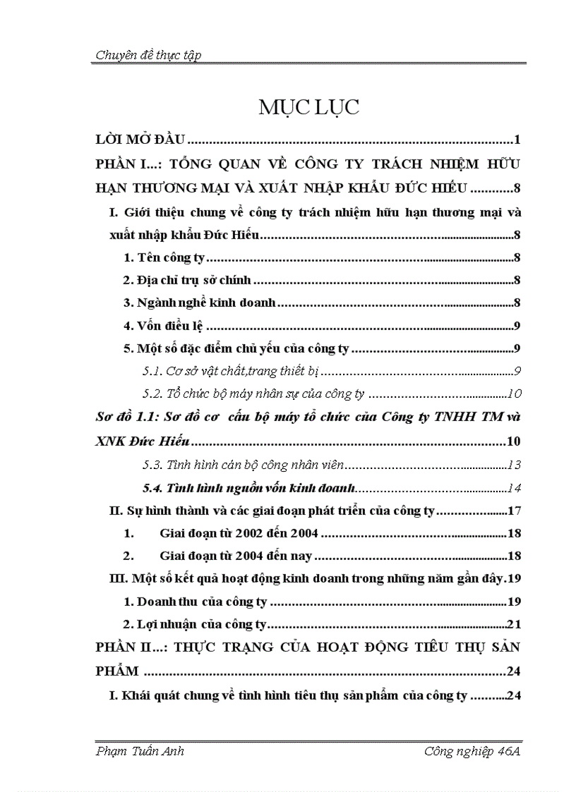 Biện pháp thúc đẩy công tác tiêu thụ sản phẩm của công ty trách nhiệm hữu hạn thương mại và xuất nhập khẩu Đức Hiếu