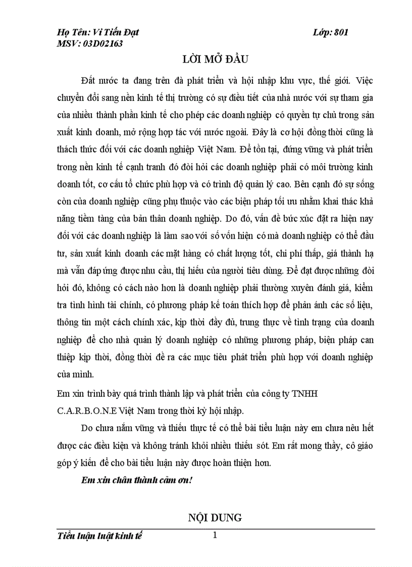 Quá trình thành lập và phát triển của công ty TNHH C A R B O N E Việt Nam trong thời kỳ hội nhập