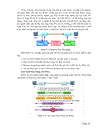 Mạng riêng ảo virtual private network