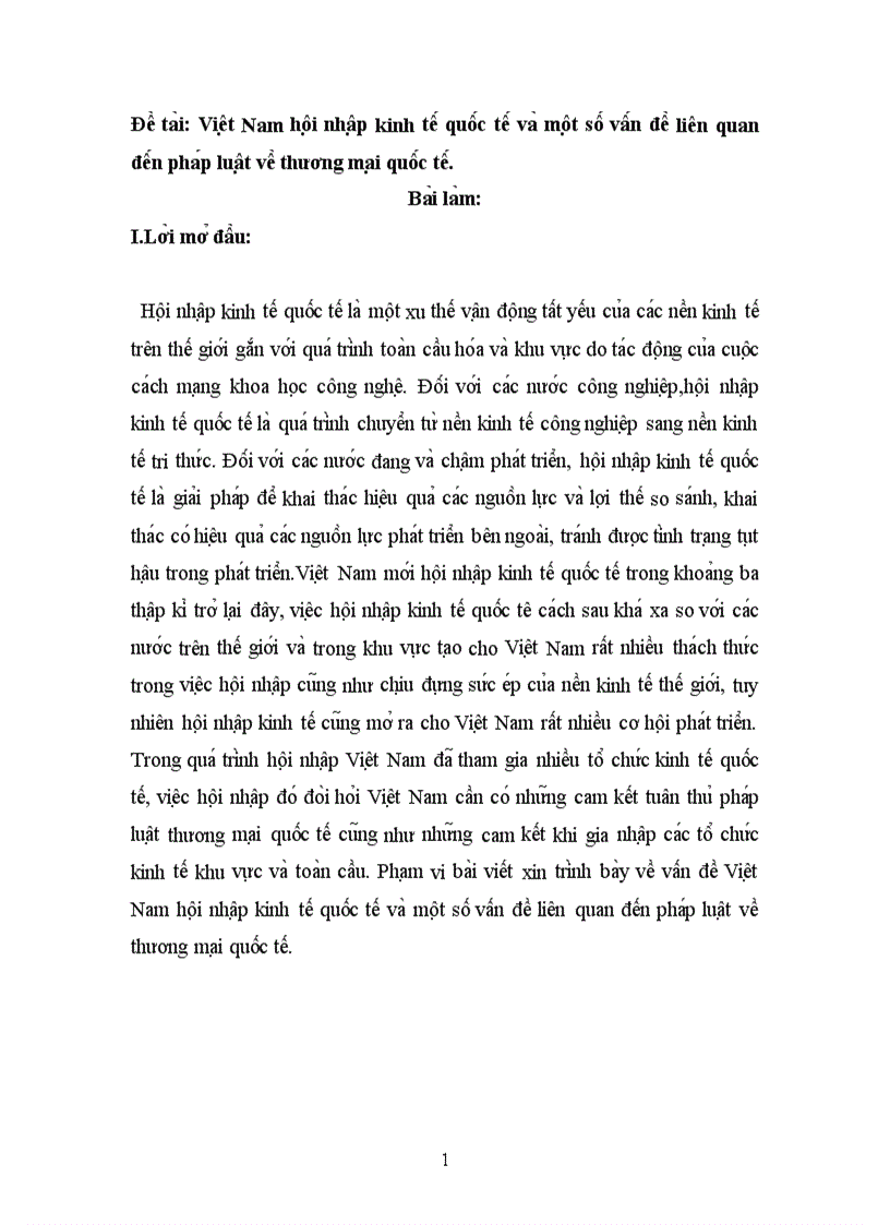 Việt Nam hội nhập kinh tế quốc tế và một số vấn đề liên quan đến pháp luật về thương mại quốc tế