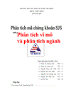 Phân tích vĩ mô và phân tích ngành mã chứng khoán sjs