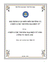 Chiến lược thương mại điện tử cho công ty trần anh