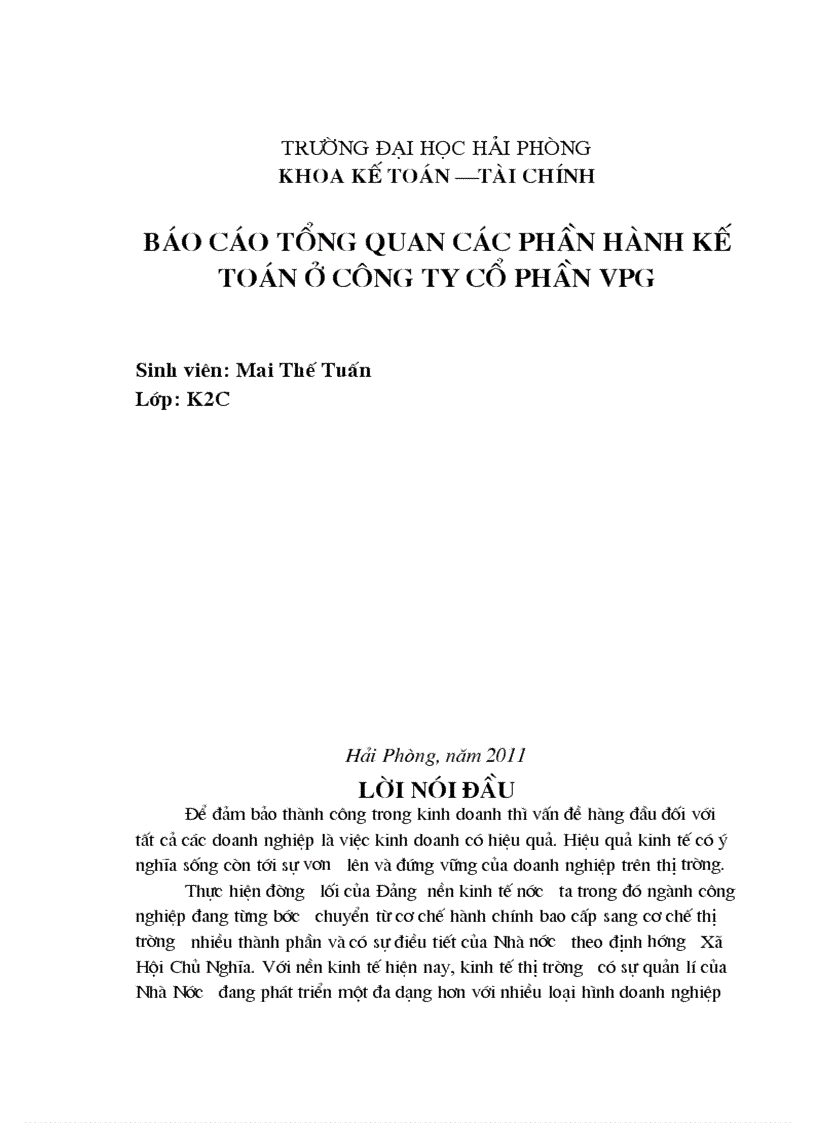 Báo cáo tổng quan các phần hành kế toán ở công ty cổ phần vpg