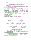 Tổng quan về Enzyme Amylase