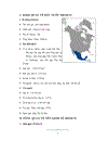 Chính sách xuất khẩu của mexico