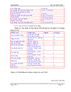 Phân tích tình hình tài chính của công ty Airgas Inc quý I 2010