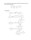 Hoạt tính sinh học tiêu biểu của benzothiazole và dẫn xuất