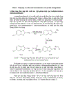 Hoạt tính sinh học tiêu biểu của benzothiazole và dẫn xuất