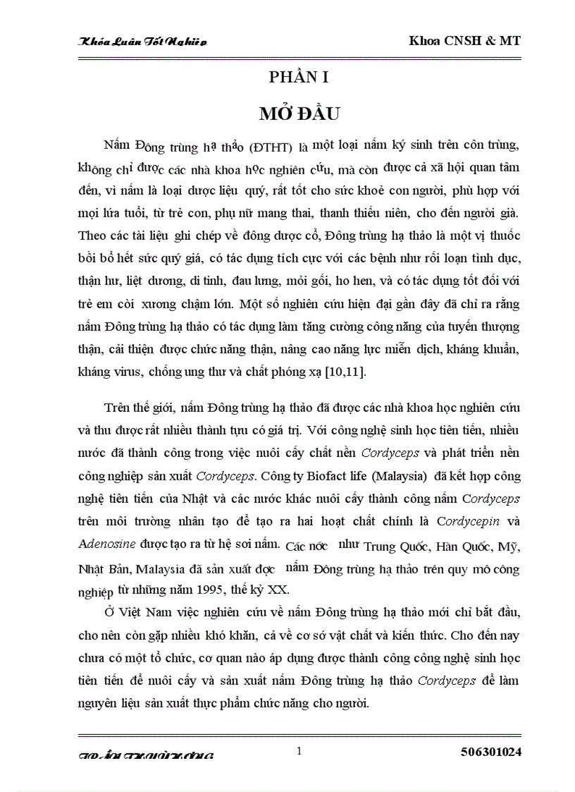 Nghiên cứu môi trường nuôi cấy nấm đông trùng hạ thảo Cordyceps militaris