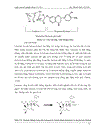 Ứng dụng enzyme naringinase thủy phân naringin để giảm vị đắng trong quá trình chế biến nước bưởi thanh trùng