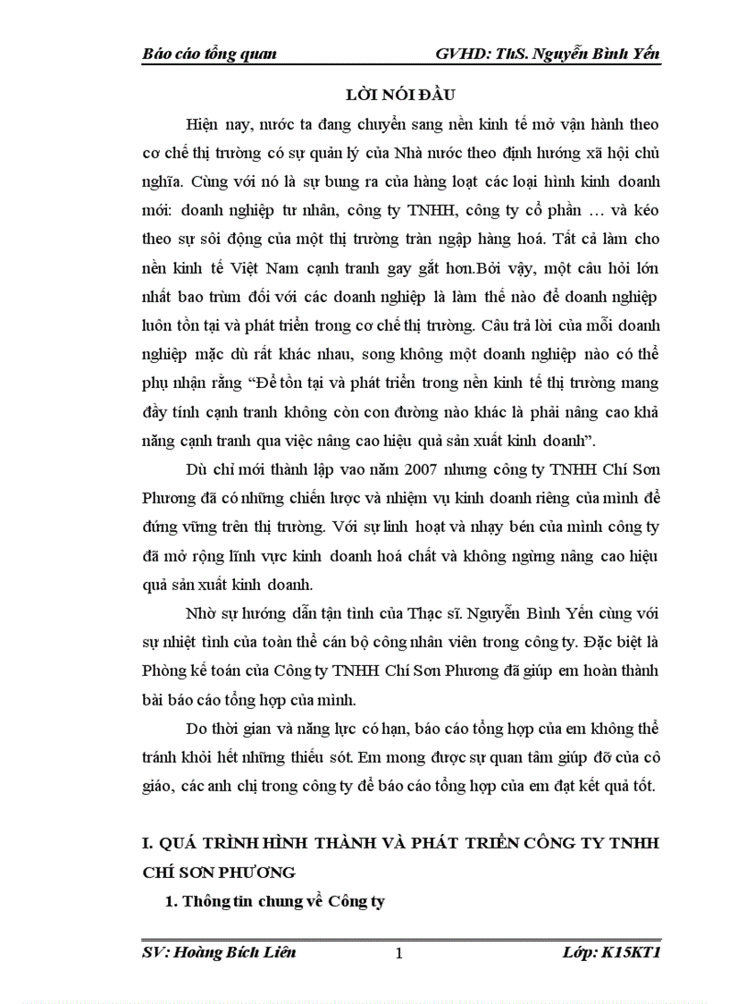 Báo cáo tổng quan về Công ty TNHH Chí Sơn Phương