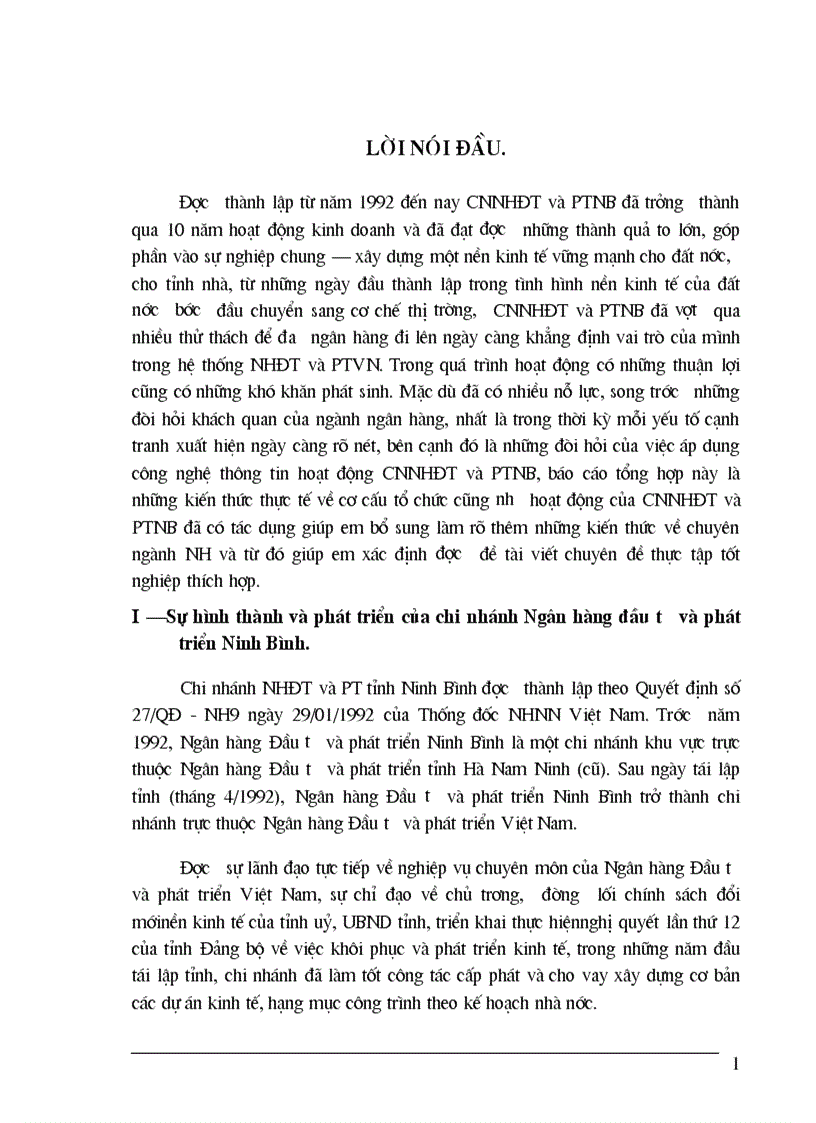 Thực tế hoạt động kinh doanh và phương hướng phát triển của chi nhánh Ngân hàng đầu tư và phát triển Ninh Bình