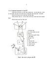 Đánh giá hiệu quả giảm đau và một số tác dụng không mong muốn của Morphin và Gabapentin trong điều trị giảm đau trên bệnh nhân ung thư giai đoạn cuối