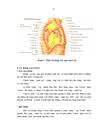 Đánh giá kết quả điều trị phẫu thuật sẹo vùng nách do di chứng bỏng