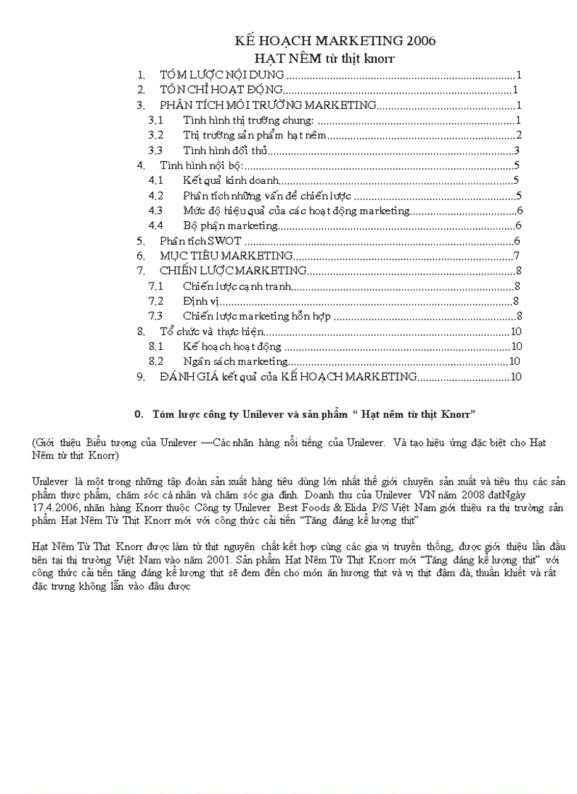 Kế hoạch MARKETING 2006 Hạt Nêm từ thịt knorr 1