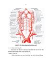 Nghiên cứu một số đặc điểm dịch tễ và yếu tố nguy cơ của các bệnh nhân TBMMN tại bệnh viện đa khoa tỉnh Long An giai đoạn 2008 2010