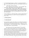 Thực tiễn của đầu tư tại Việt Nam trong giai đoạn 2007 2009